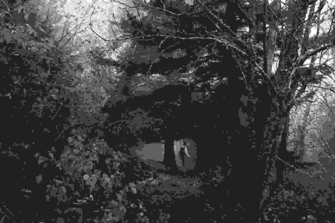 Hiking in woods